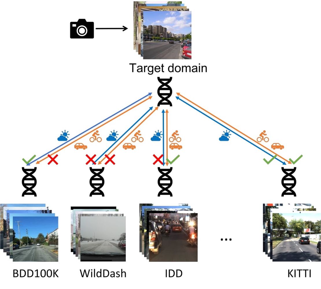 Visual DNA: Representing and Comparing Images using Distributions of Neuron Activations